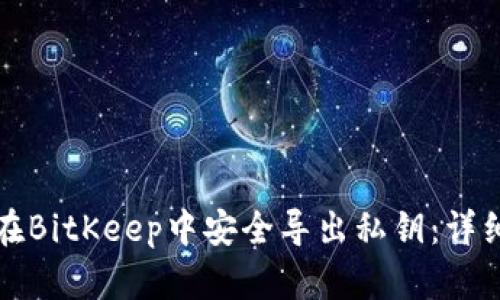如何在BitKeep中安全导出私钥:详细指南