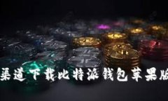 如何在官方渠道下载比特派钱包苹果版