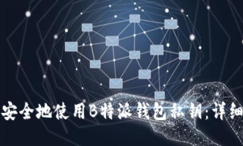 如何安全地使用B特派钱包私钥：详细指南