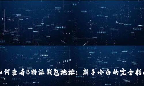 如何查看B特派钱包地址: 新手小白的完全指南
