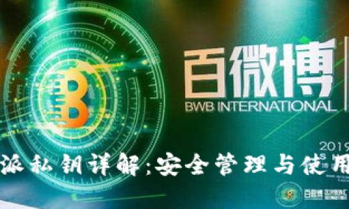 比特派私钥详解:安全管理与使用指南