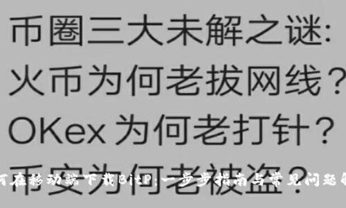 如何在移动端下载BitP:一步步指南与常见问题解答