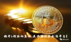 揭开b特派的真相：是诈骗还是合法平