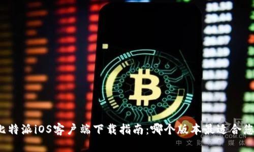 比特派iOS客户端下载指南:哪个版本最适合您?