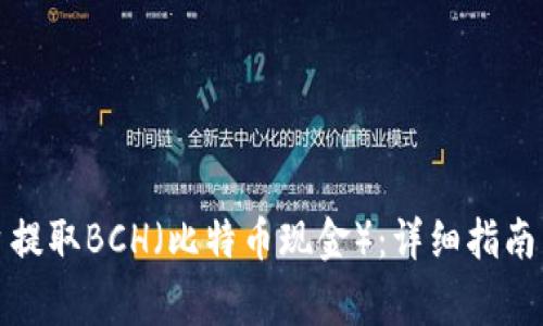 如何从BitP平台提取BCH(比特币现金):详细指南与常见问题解答