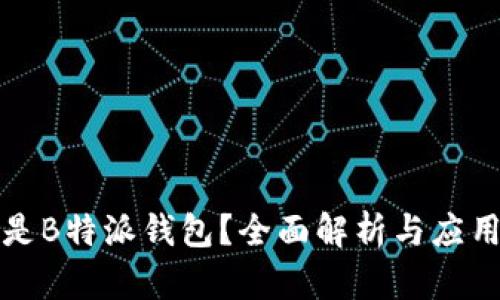 什么是B特派钱包?全面解析与应用场景