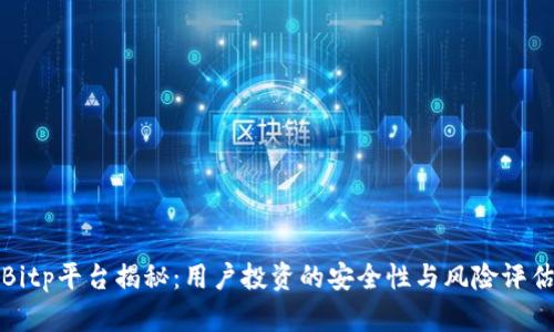 Bitp平台揭秘:用户投资的安全性与风险评估