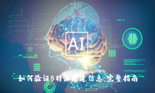如何验证B特派通道信息:完整指南