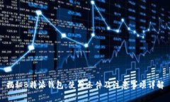 揭秘B特派钱包：使用条件及注意事项