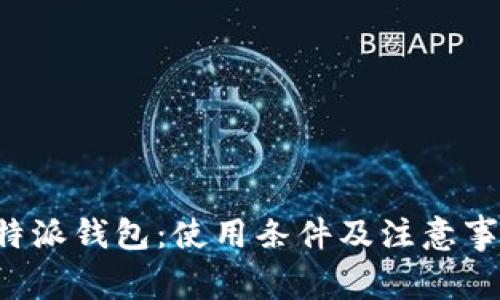 揭秘B特派钱包:使用条件及注意事项详解