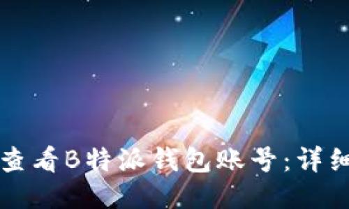 如何查看B特派钱包账号：详细指南