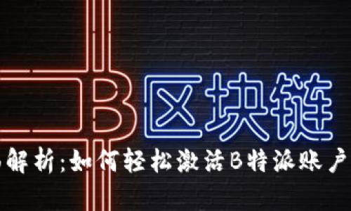 全面解析:如何轻松激活B特派账户信息