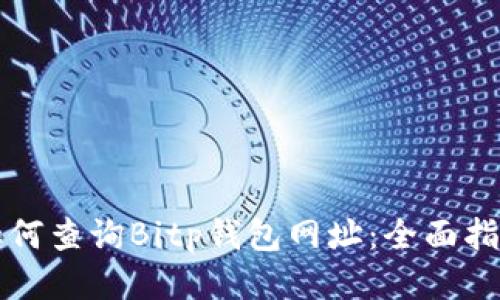 如何查询Bitp钱包网址:全面指南