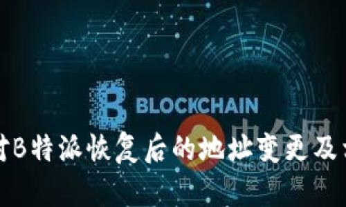 如何应对B特派恢复后的地址变更及相关问题