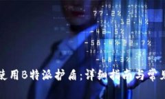 如何有效使用B特派护盾：详细指南与