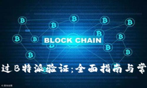 如何轻松通过B特派验证:全面指南与常见问题解答