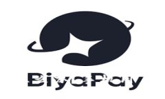 比特派无法登录怎么办？手机用户的完