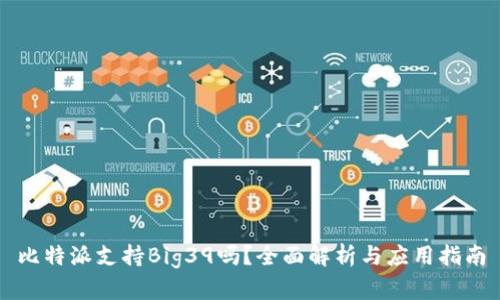 比特派支持Big39吗?全面解析与应用指南