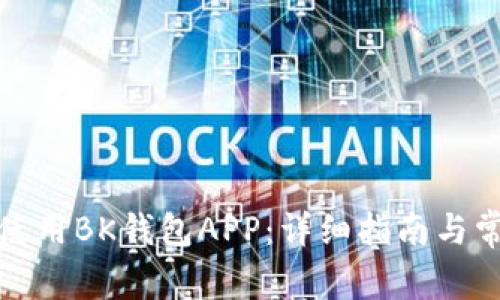 如何下载和使用BK钱包APP:详细指南与常见问题解答