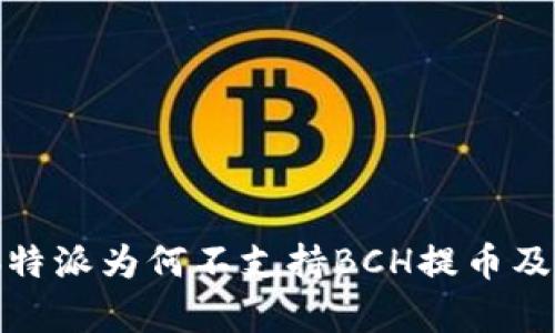 深入探讨:b特派为何不支持BCH提币及其影响分析