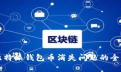 解决比特派钱包币消失问题的全面指南