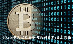 Bitpie钱包被盗后如何找回资产：详尽指