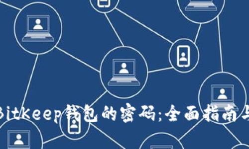 如何找回BitKeep钱包的密码:全面指南与解决方案