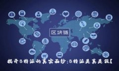 揭开B特派的真实面纱：B特派是真是假