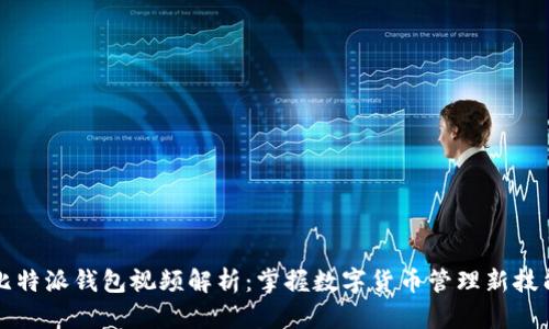 比特派钱包视频解析:掌握数字货币管理新技能