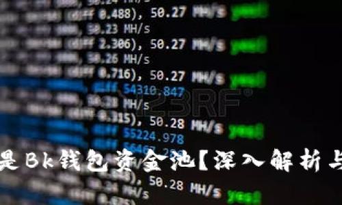什么是Bk钱包资金池?深入解析与应用