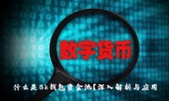 什么是Bk钱包资金池？深入解析与应用