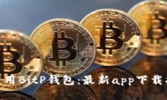 : 如何下载并使用BitP钱包：最新app下载