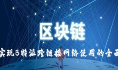 如何实现B特派跨链接网络使用的全面