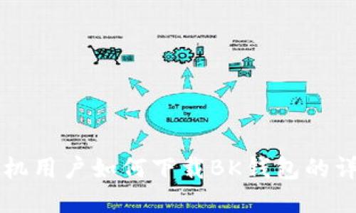 苹果手机用户如何下载BK钱包的详细指南