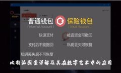 比特派图案详解及其在数字艺术中的应