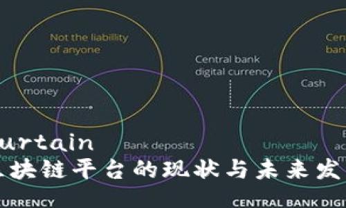 curtain/curtain
信用评级区块链平台的现状与未来发展趋势分析