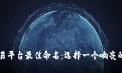 比特交易平台最佳命名：选择一个响亮