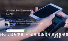 Bitpie钱包下载 - 使用指南与常见问题解