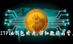如何备份BITPIE钱包照片：详细教程与常