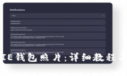 如何备份BITPIE钱包照片:详细教程与常见问题解答