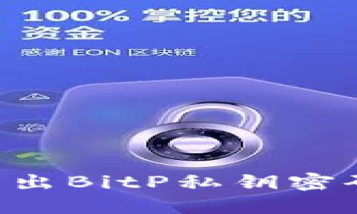 如何安全导出BitP私钥密码:完整指南