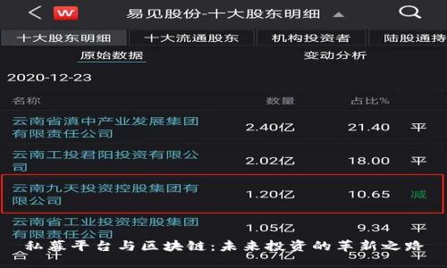 私募平台与区块链:未来投资的革新之路