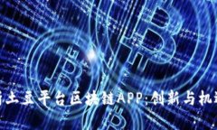 全面解析土豆平台区块链APP：创新与机