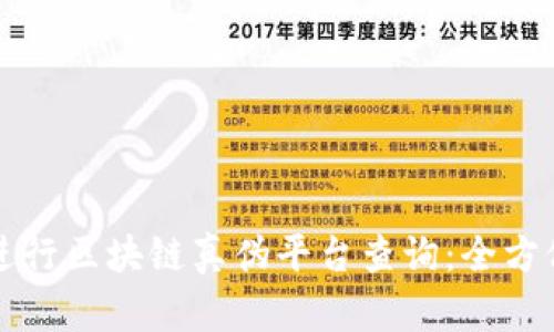 如何进行区块链真伪平台查询:全方位指南