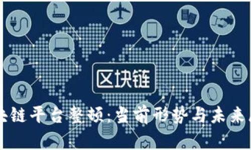 区块链平台整顿:当前形势与未来展望