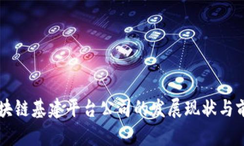 中国区块链基建平台公司的发展现状与前景分析