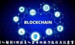 深入解析B特派导入货币的操作流程与