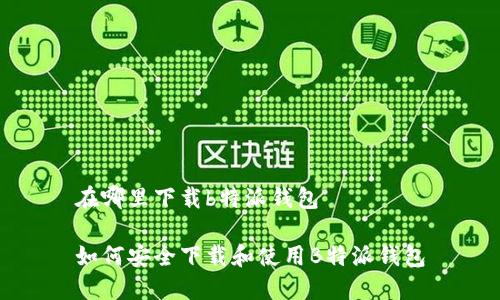 在哪里下载b特派钱包
如何安全下载和使用B特派钱包