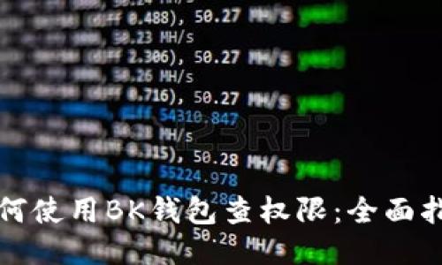 如何使用BK钱包查权限:全面指南