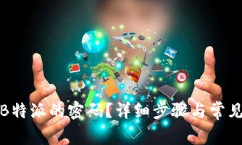 如何找回B特派的密码?详细步骤与常见问题解答